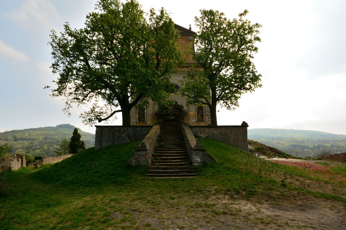 DSC_0040_00001n.jpg