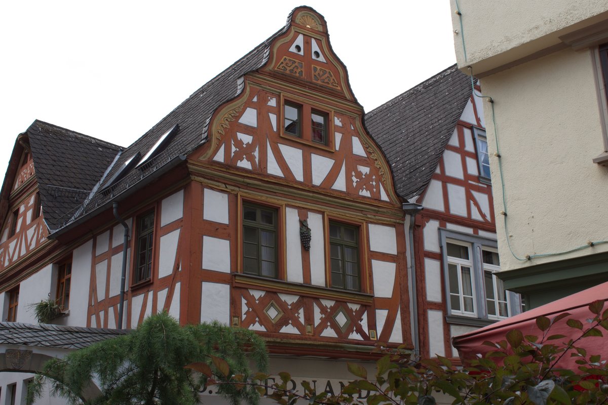 DSC_0045 (Kopie).jpg