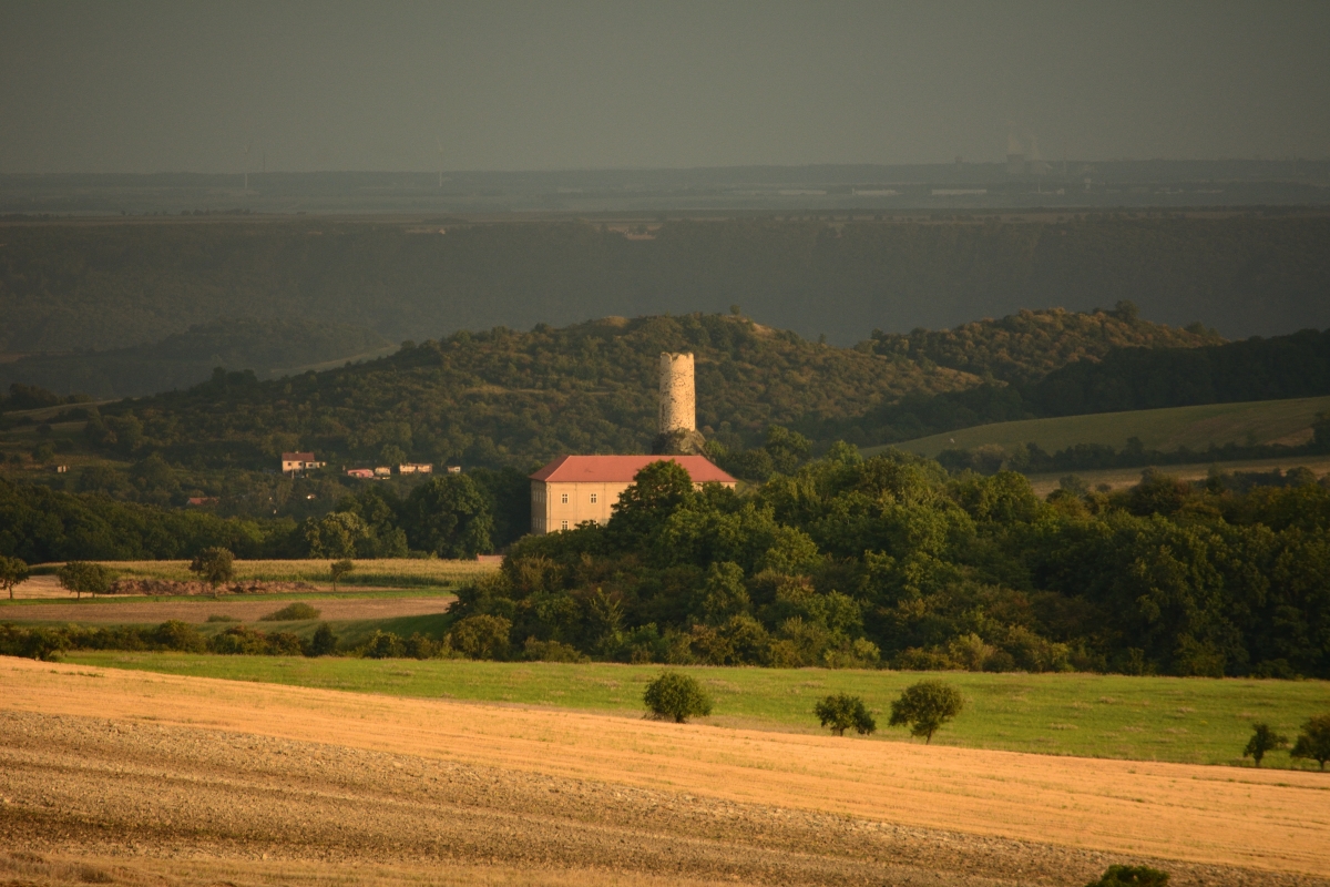 DSC_0048_00001n.jpg