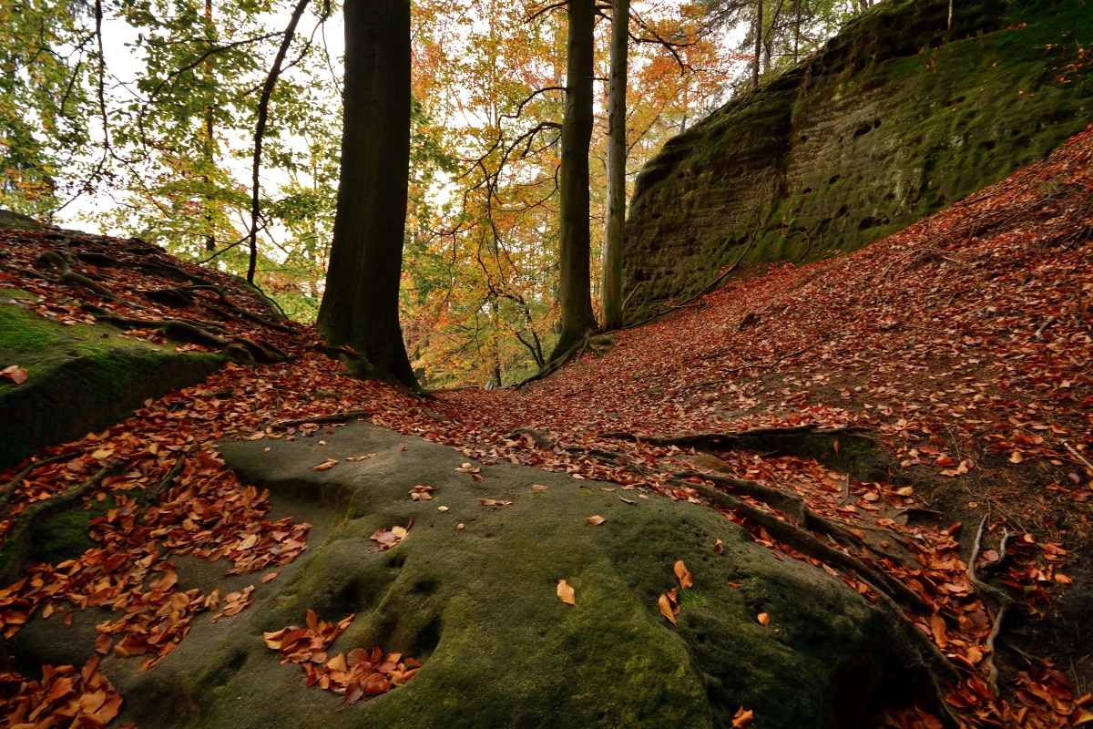 DSC_0059_00001n.jpg