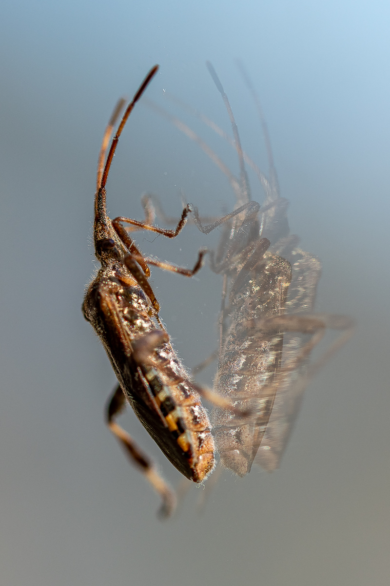 DSC_0060.jpg