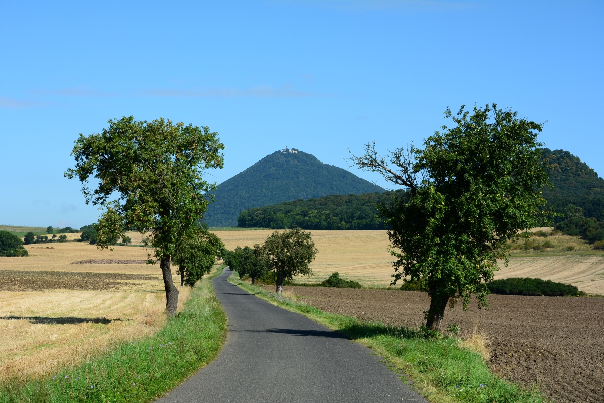 DSC_0061n.JPG
