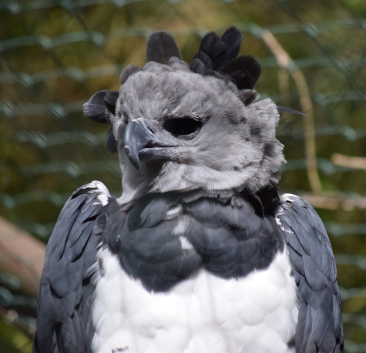 DSC_0063.JPG