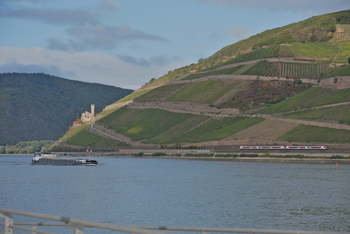 DSC_0073.jpg