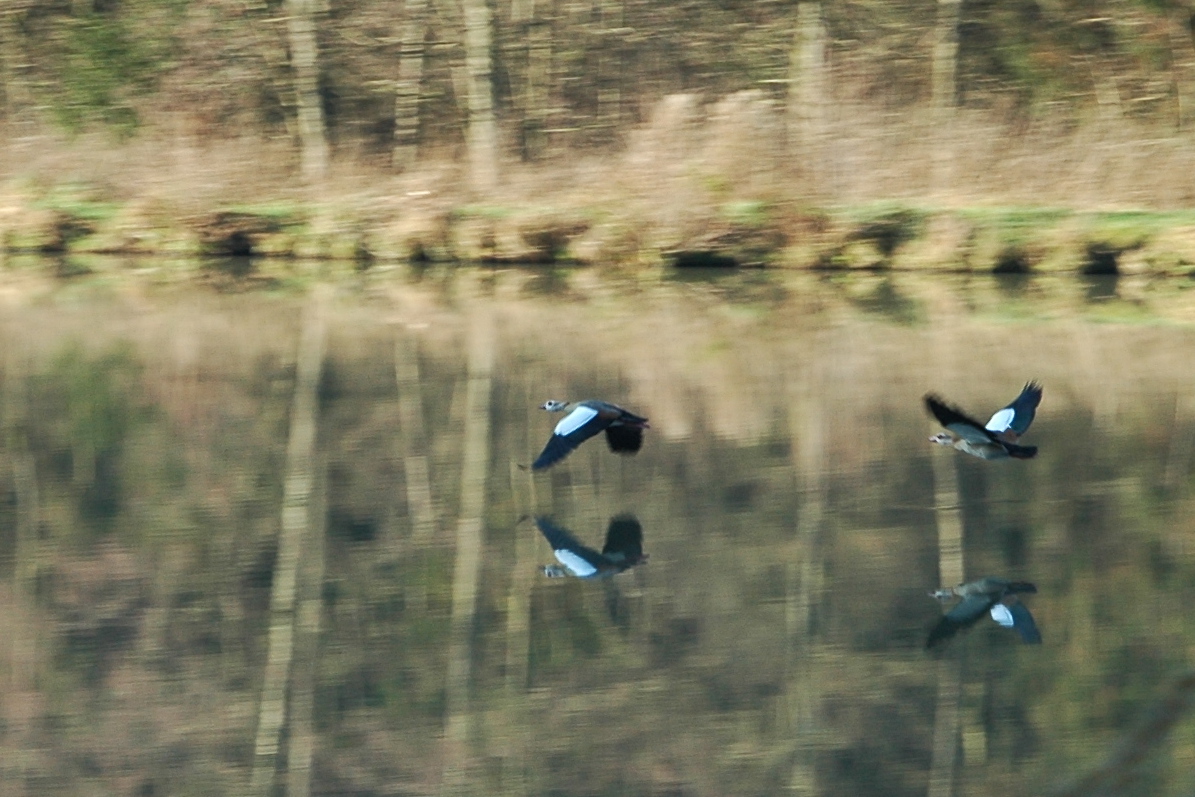 DSC_0077.JPG