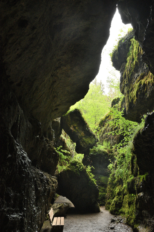 DSC_0077.JPG