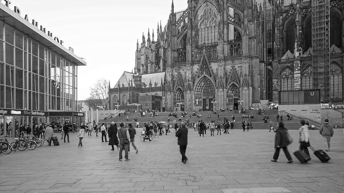DSC_0089cnxP_DxOPKSWxl.jpg