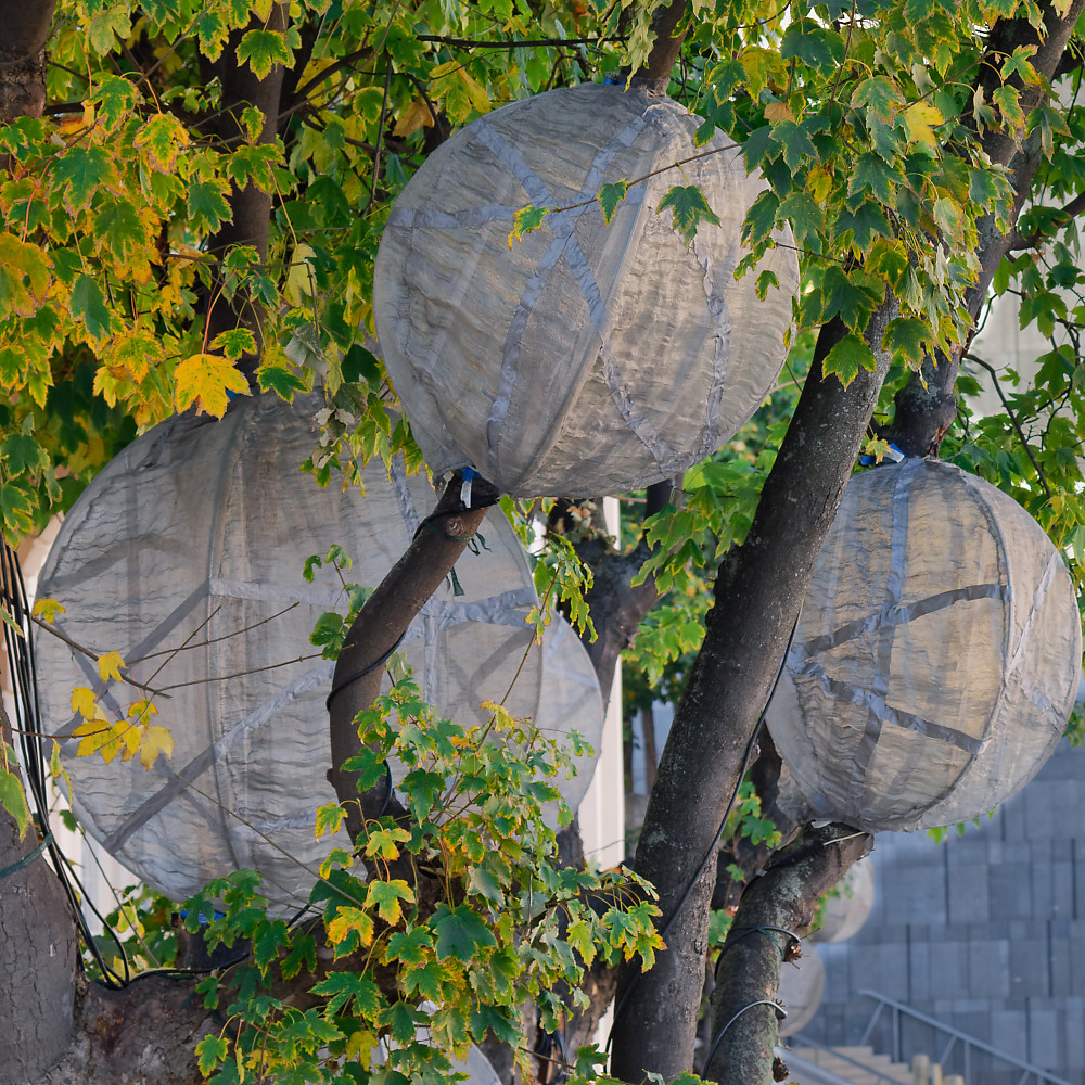 DSC_0094_DxO-2.jpg