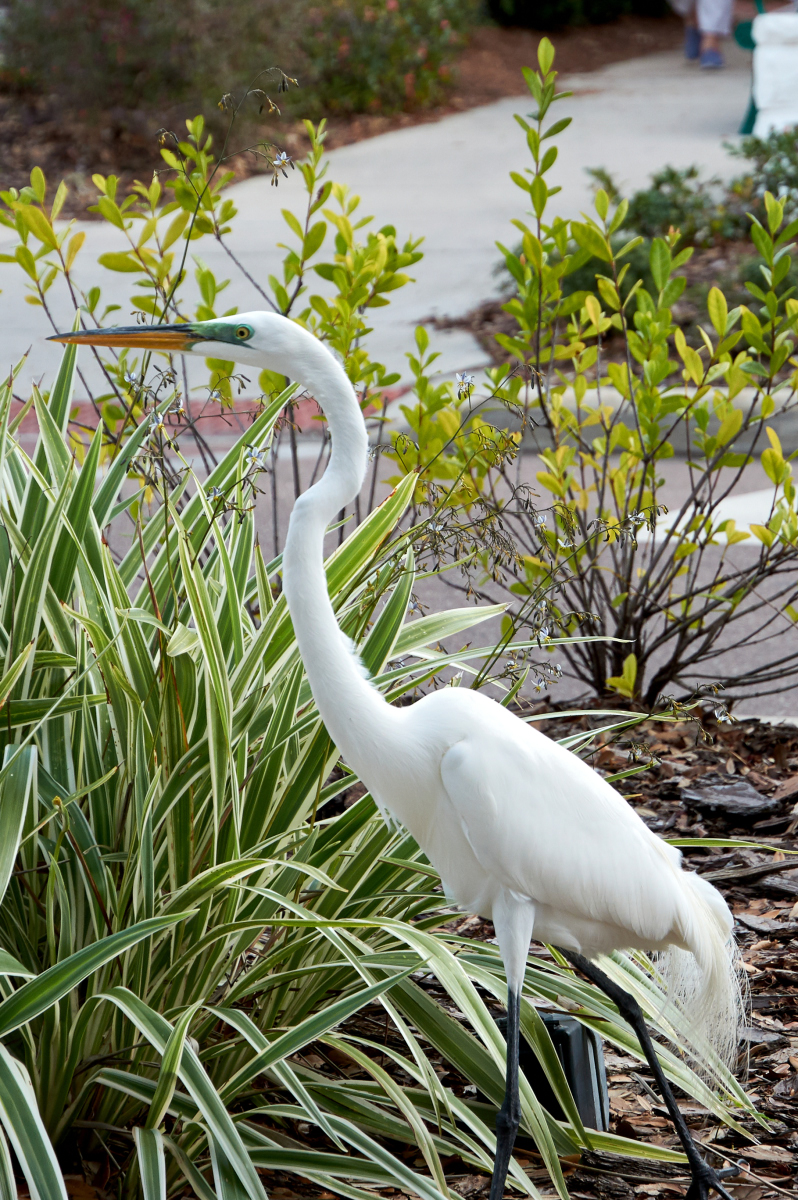 DSC_0100.jpg