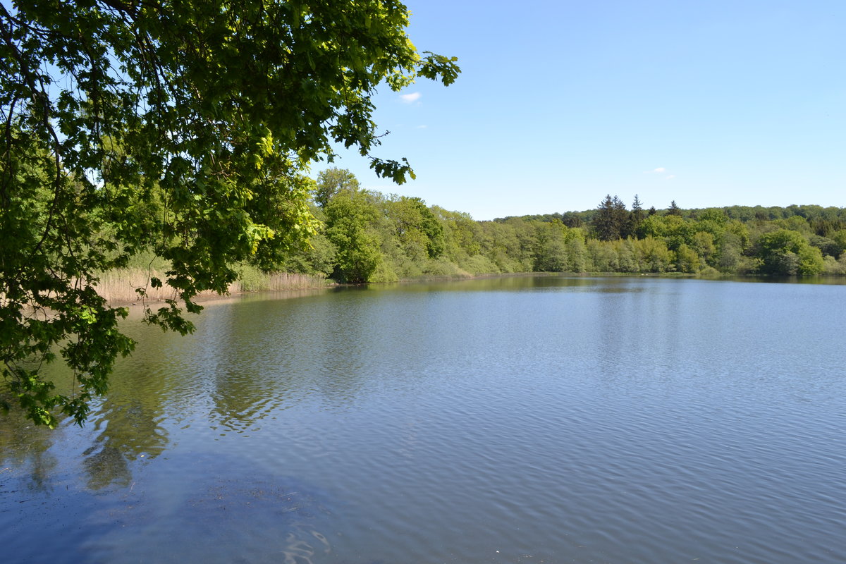 DSC_0102.JPG