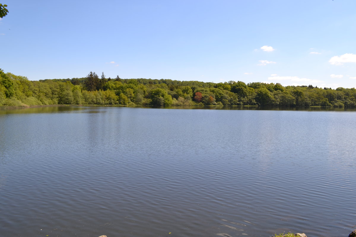 DSC_0103.JPG