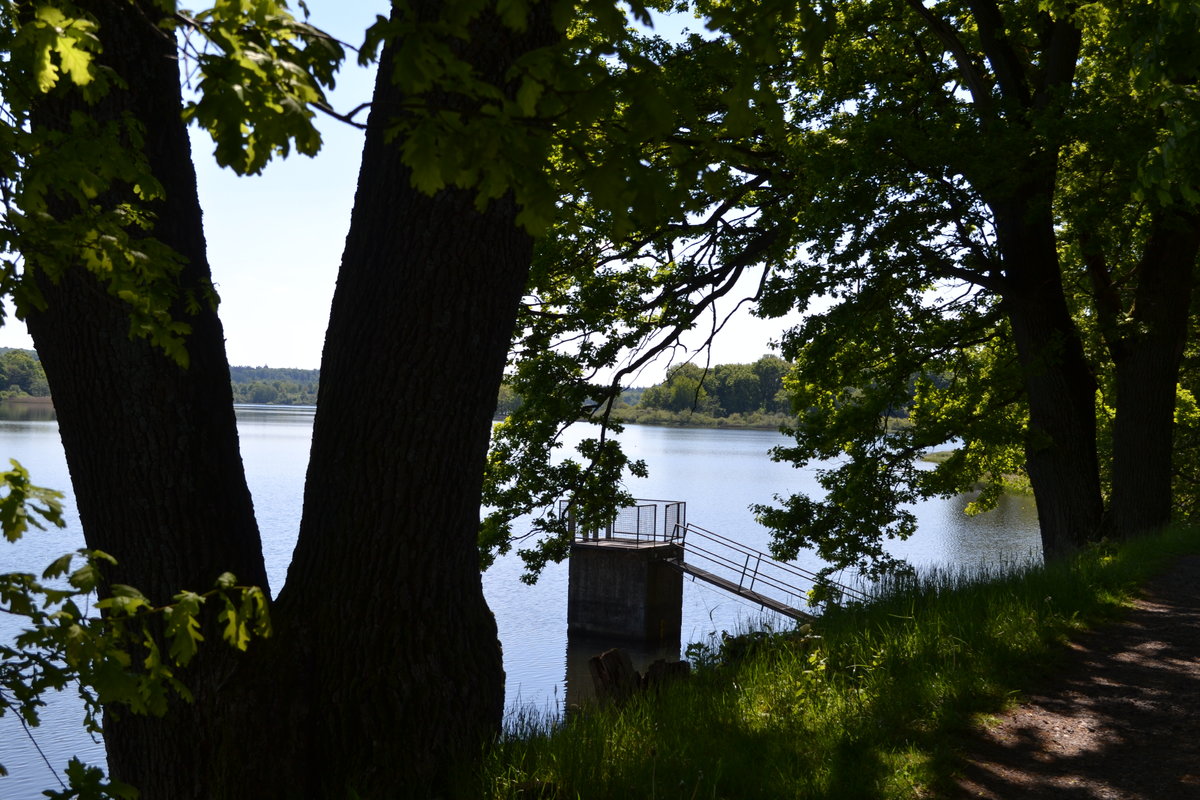 DSC_0106.JPG
