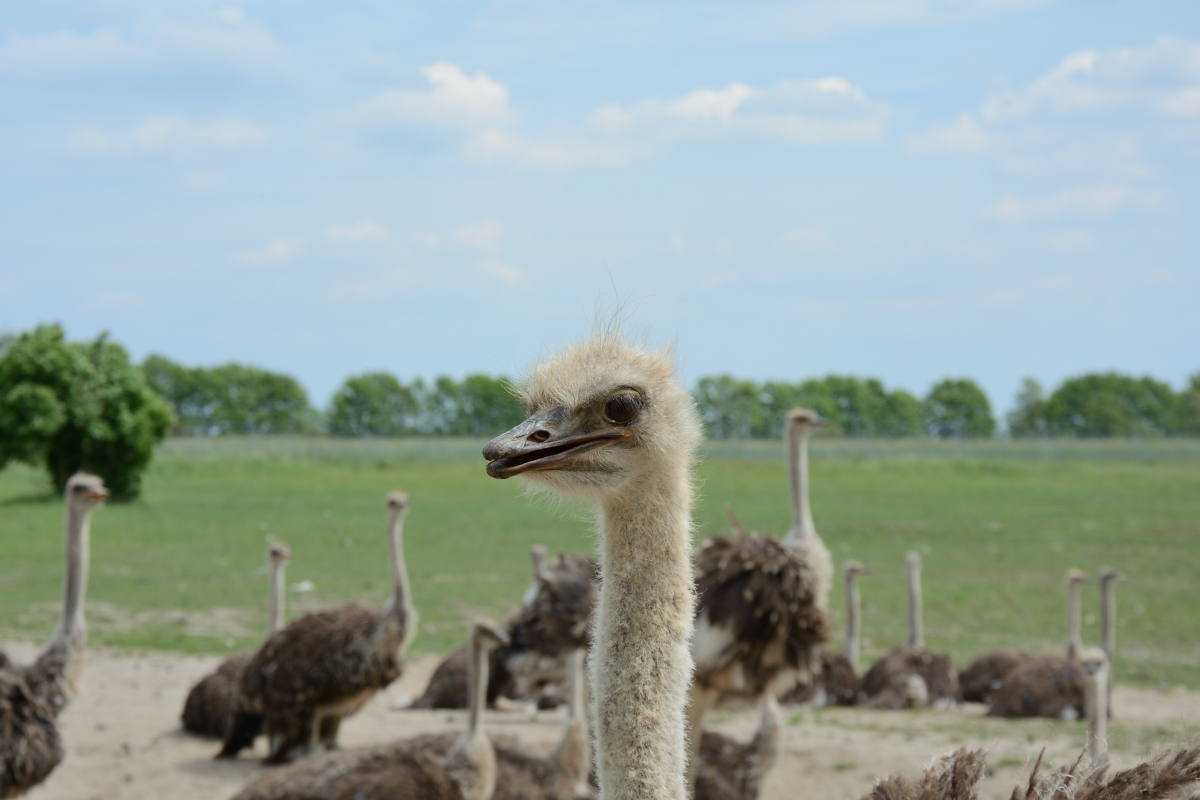 DSC_0120_01.jpg