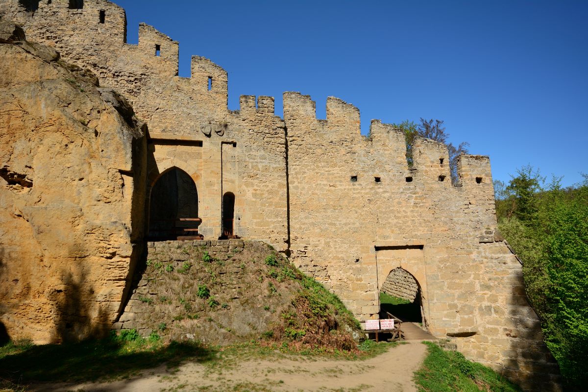 DSC_0125_00001n.jpg