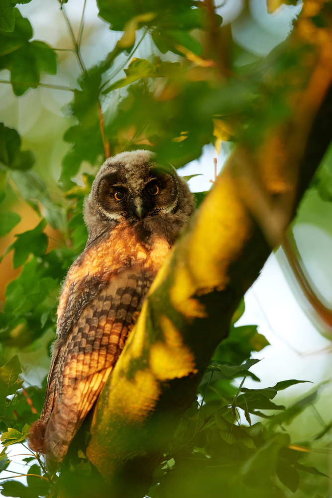 DSC_0134.jpg
