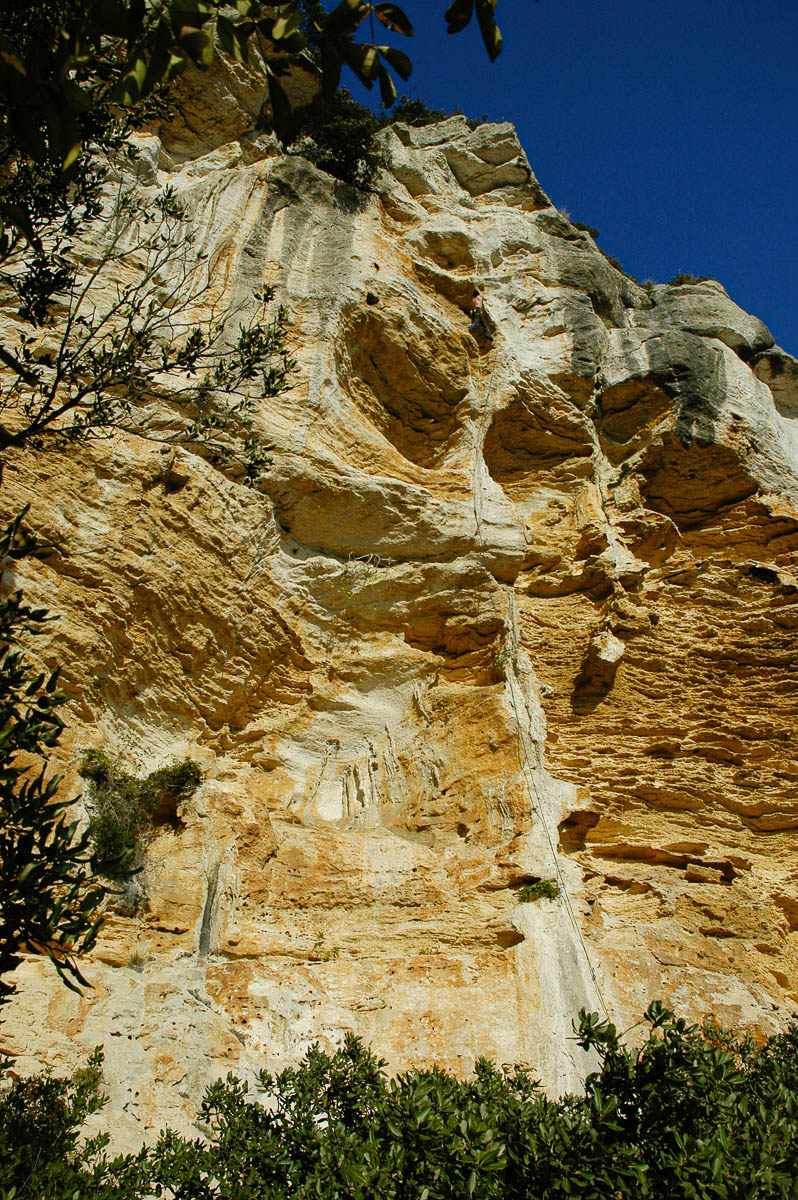 DSC_0145.jpg