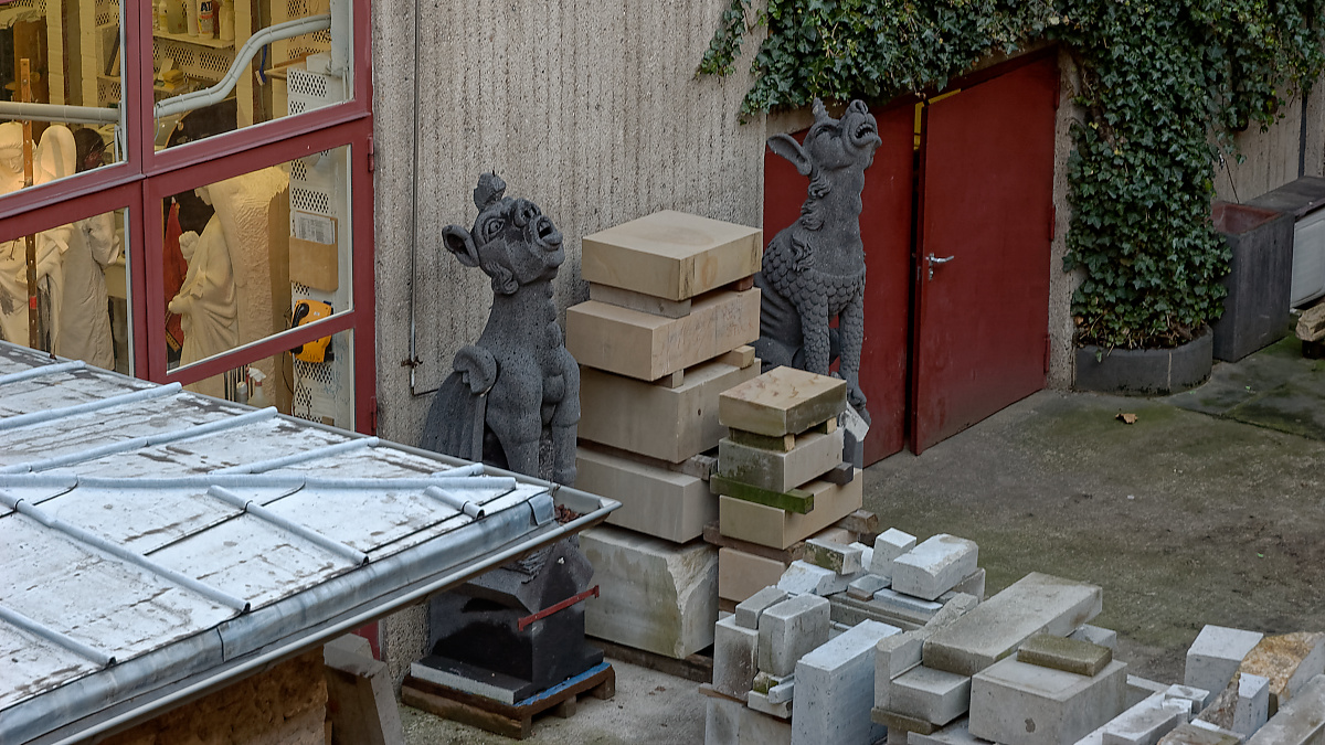 DSC_0153_DxOPxl.jpg