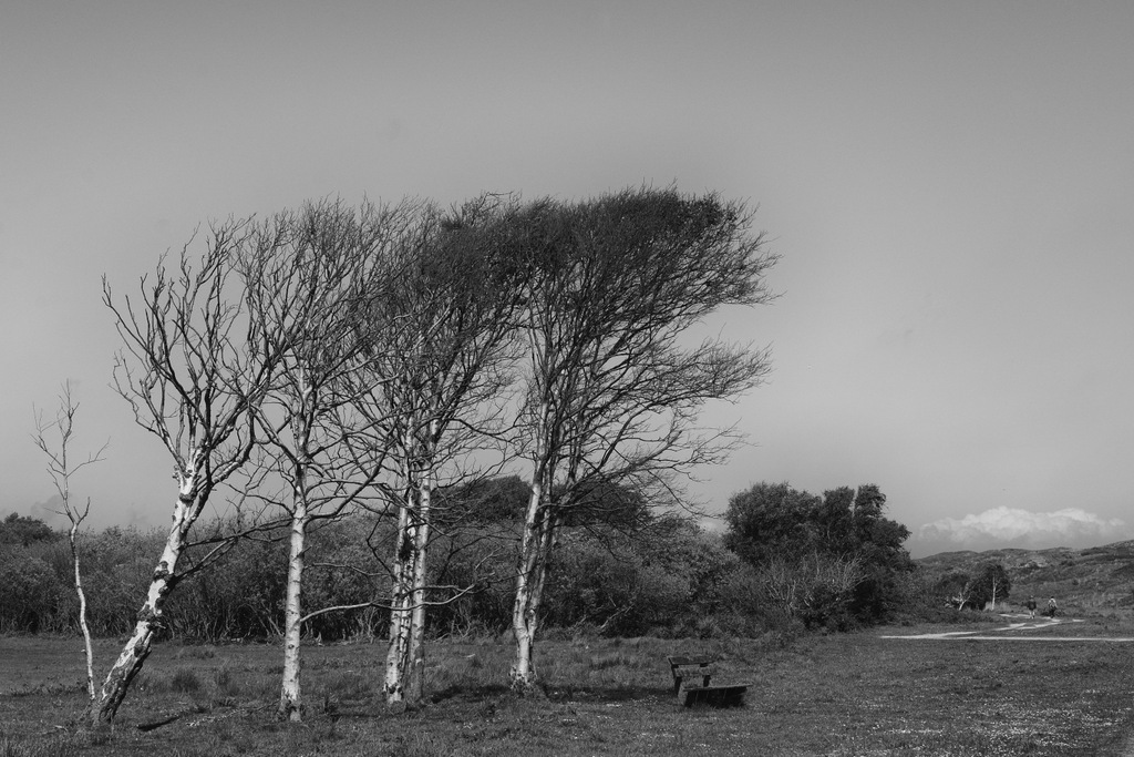 DSC_0154.jpg