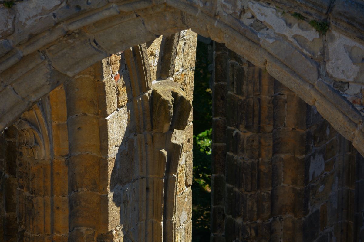 DSC_0166_00001n.jpg