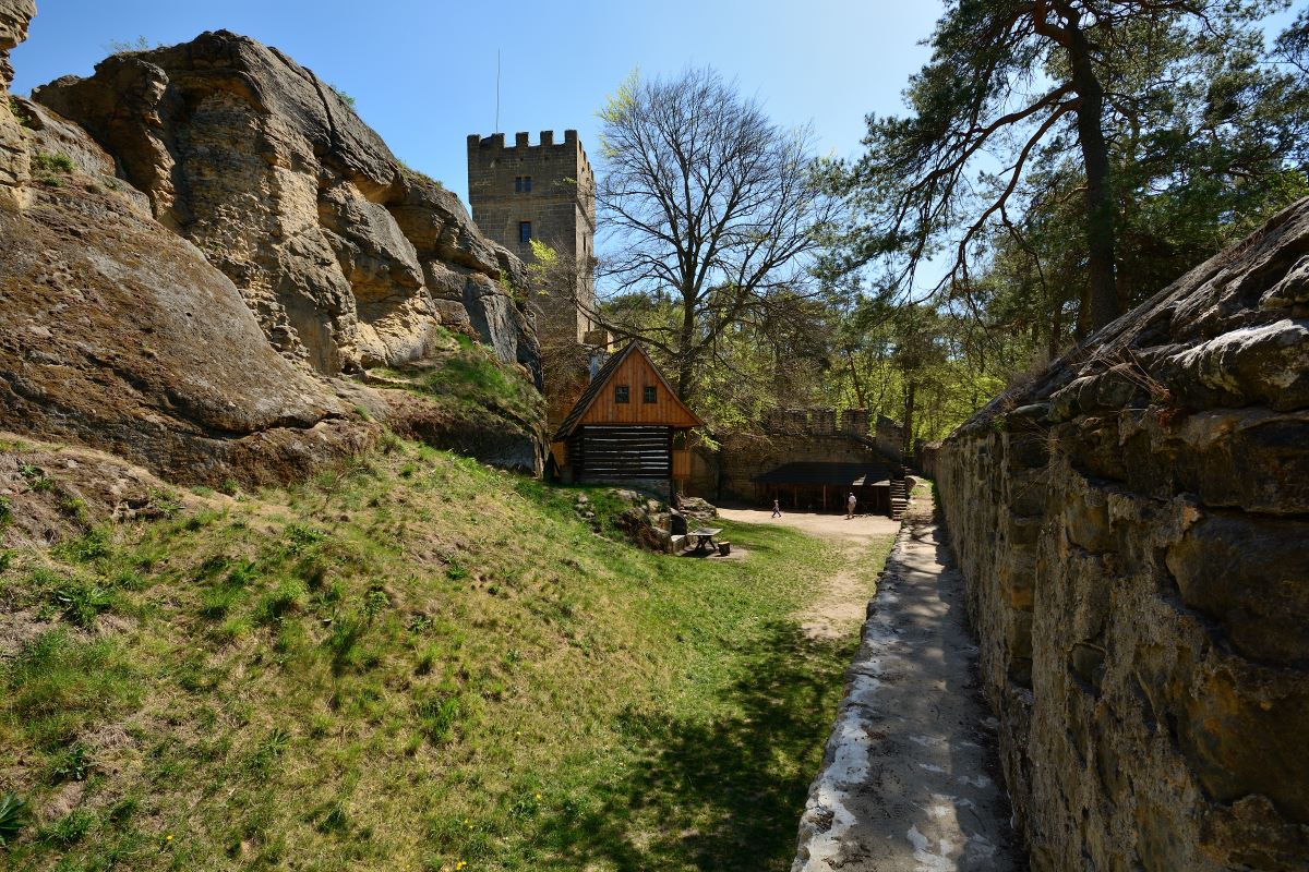 DSC_0169_00001n.jpg