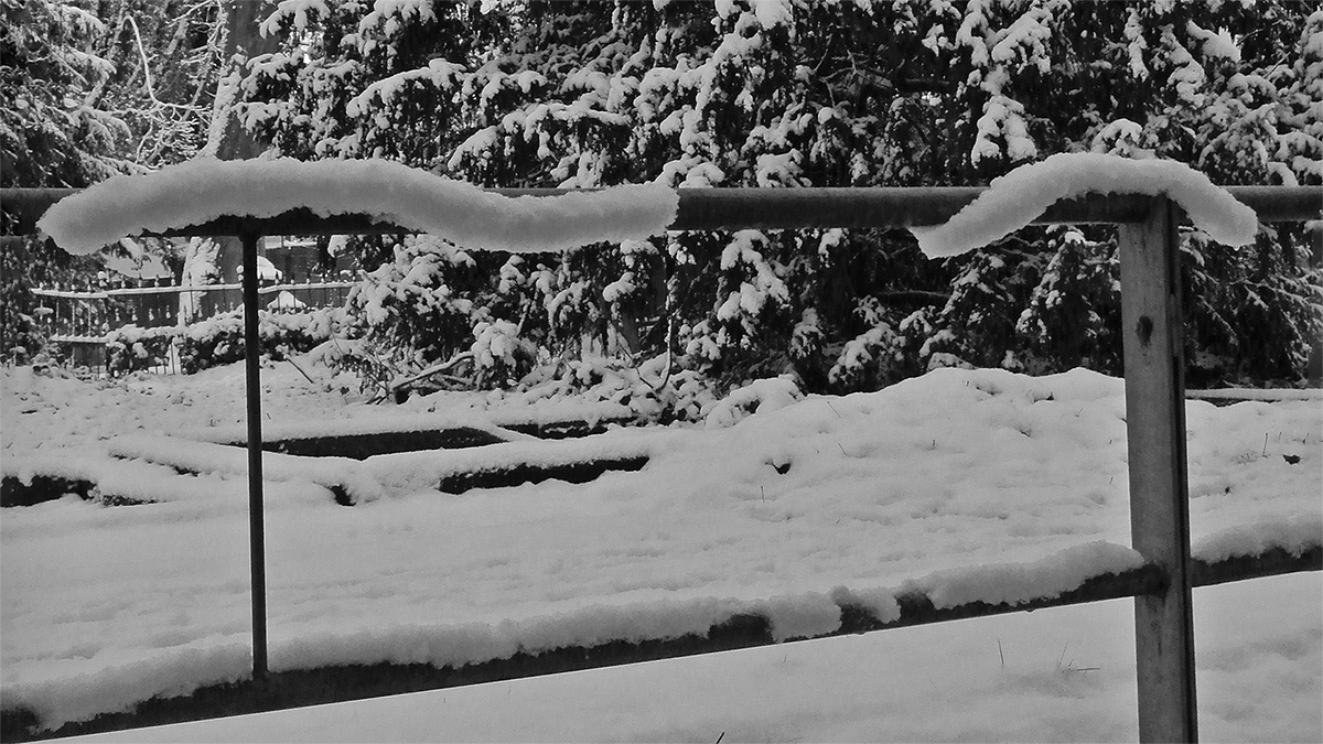DSC_0171Pxl.jpg