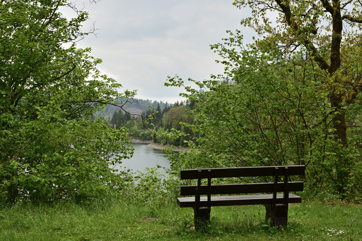 DSC_0175.JPG