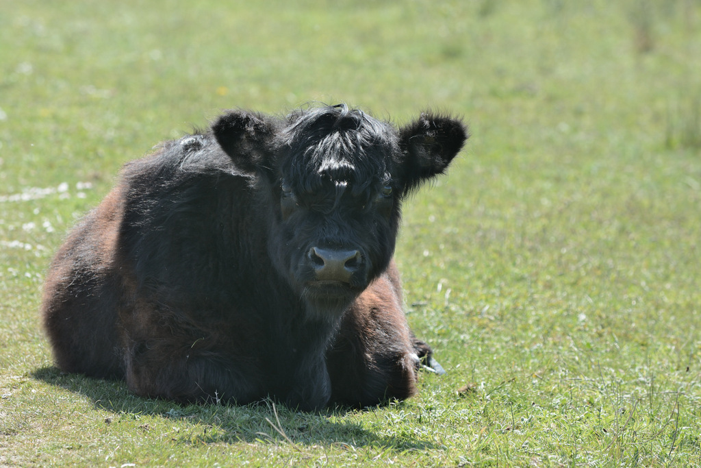 DSC_0177.jpg