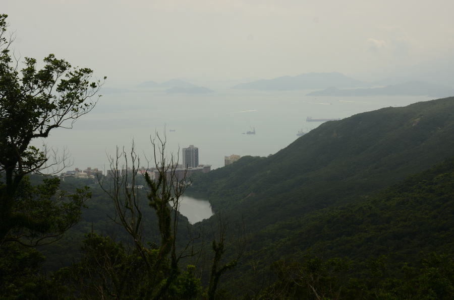 DSC_0177.JPG