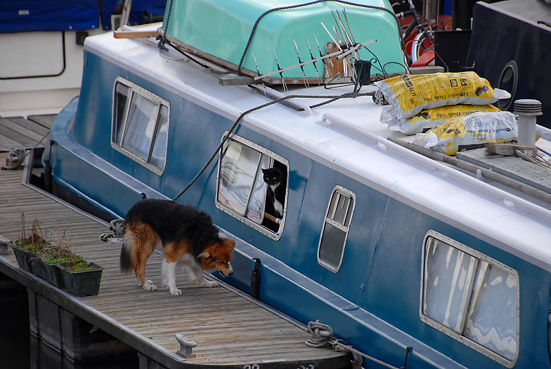 DSC_0193.jpg