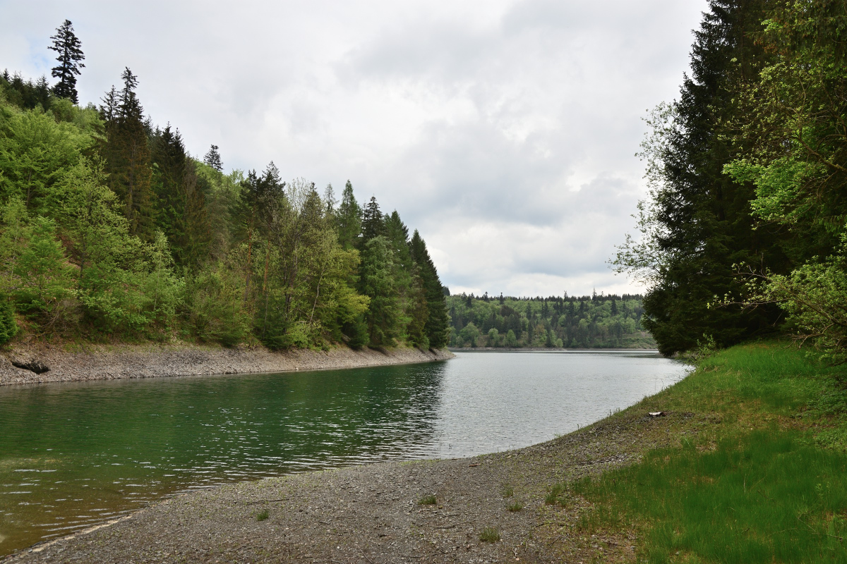 DSC_0194.JPG