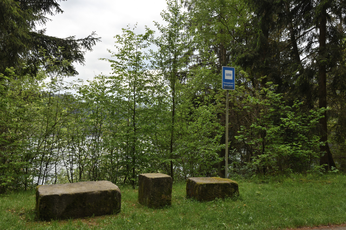 DSC_0202.JPG