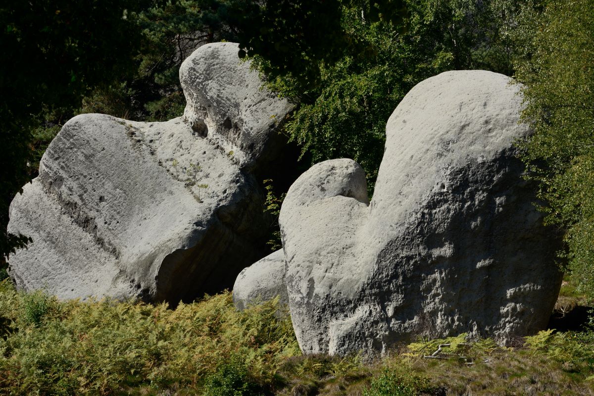 DSC_0207_00001n.jpg