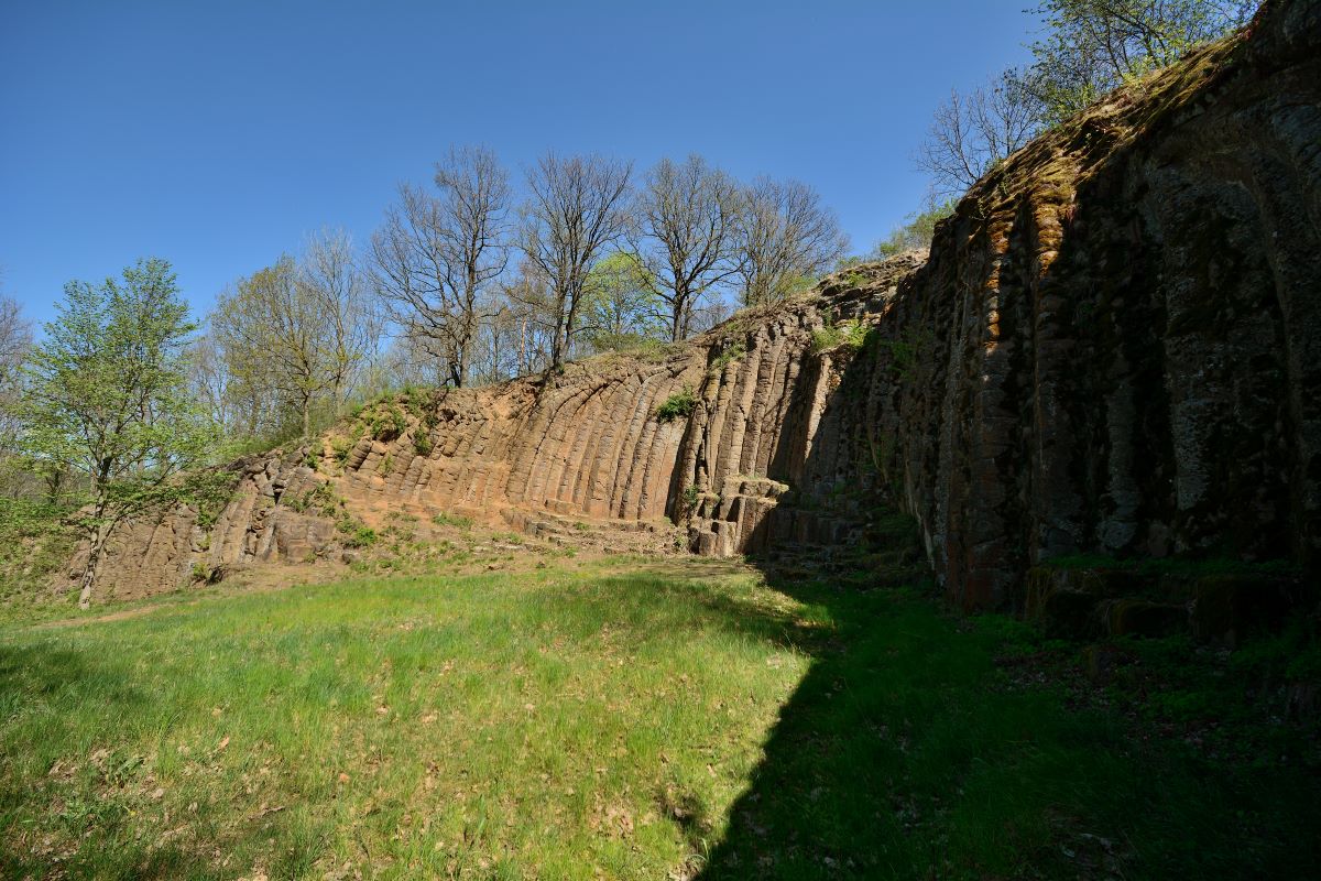 DSC_0207_00001n.jpg
