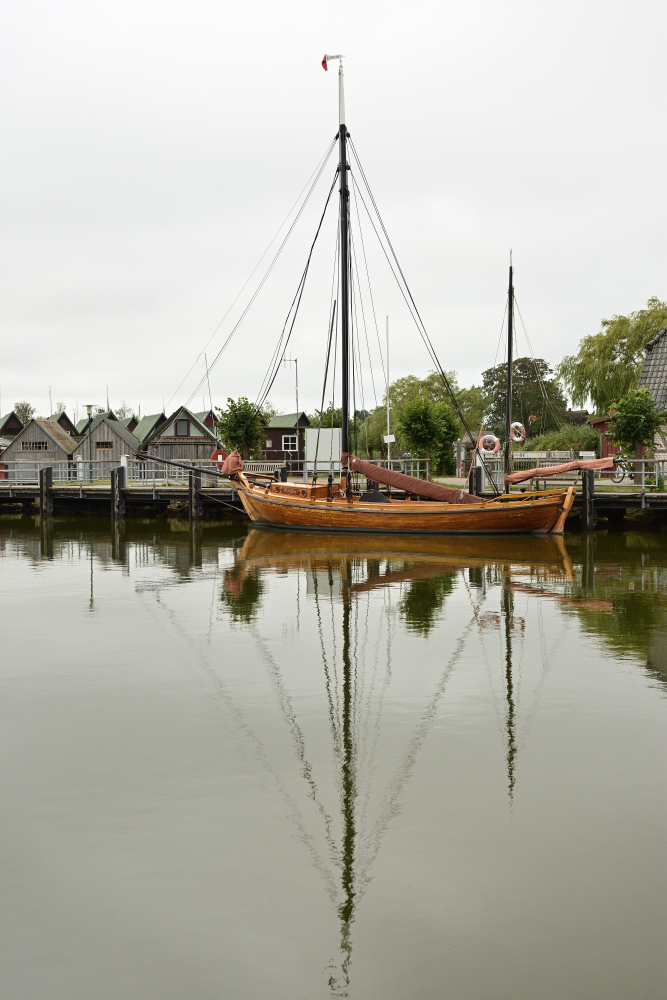 DSC_0218.JPG