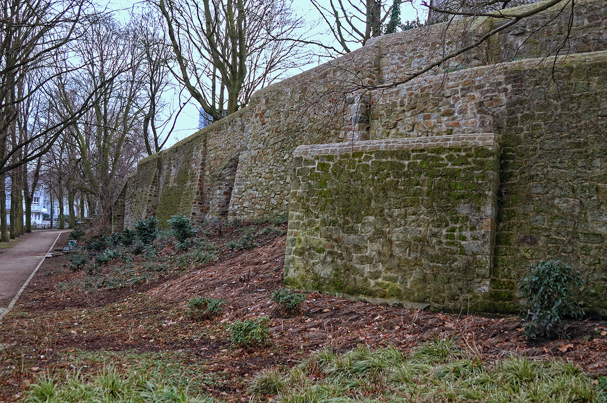 DSC_0218cnxKSxl.jpg