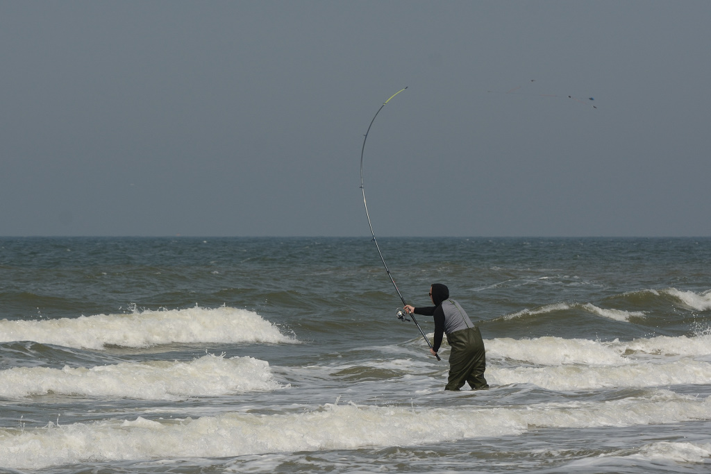 DSC_0223_00004.jpg