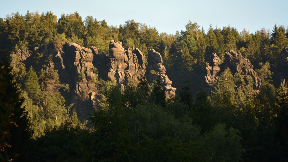 DSC_0225_00001n.jpg
