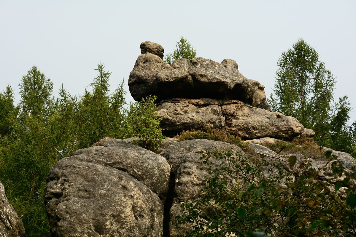 DSC_0244_00001n.jpg
