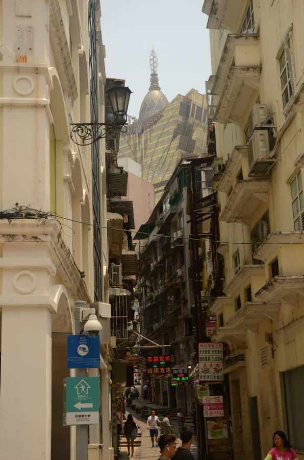 DSC_0252_01.JPG