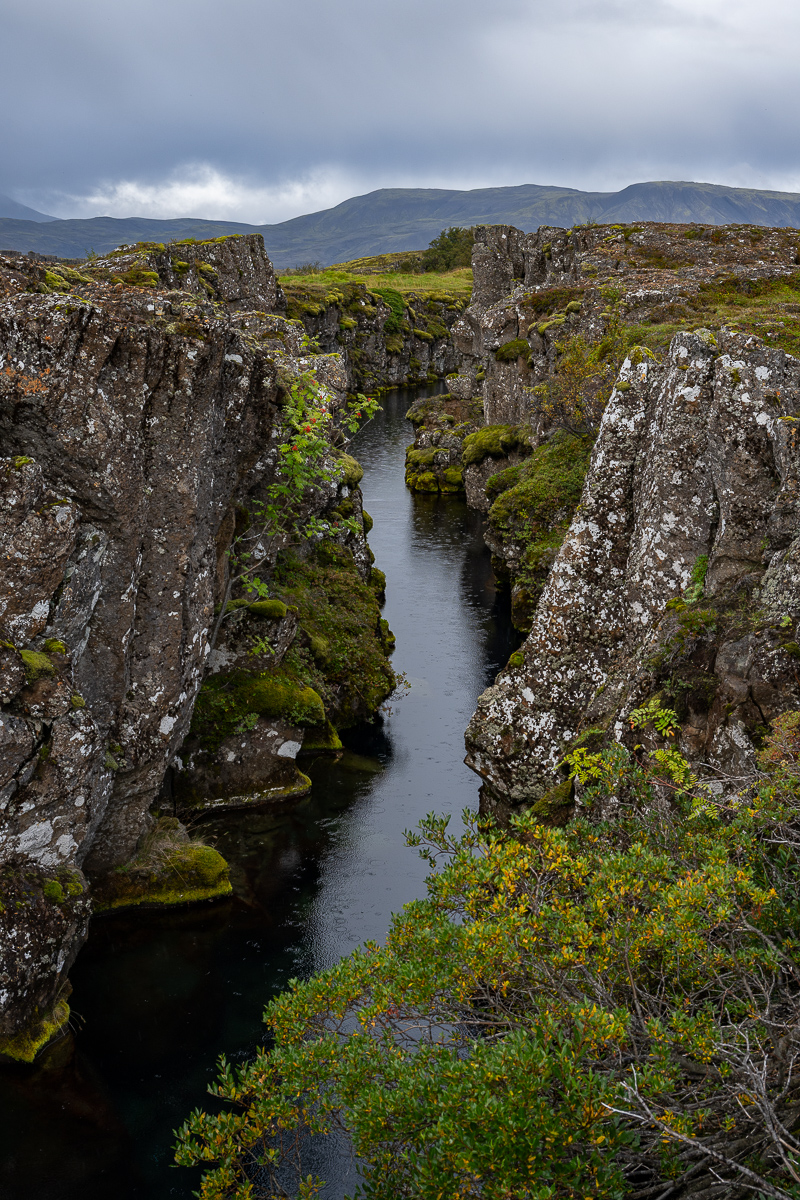 DSC_0259.jpg