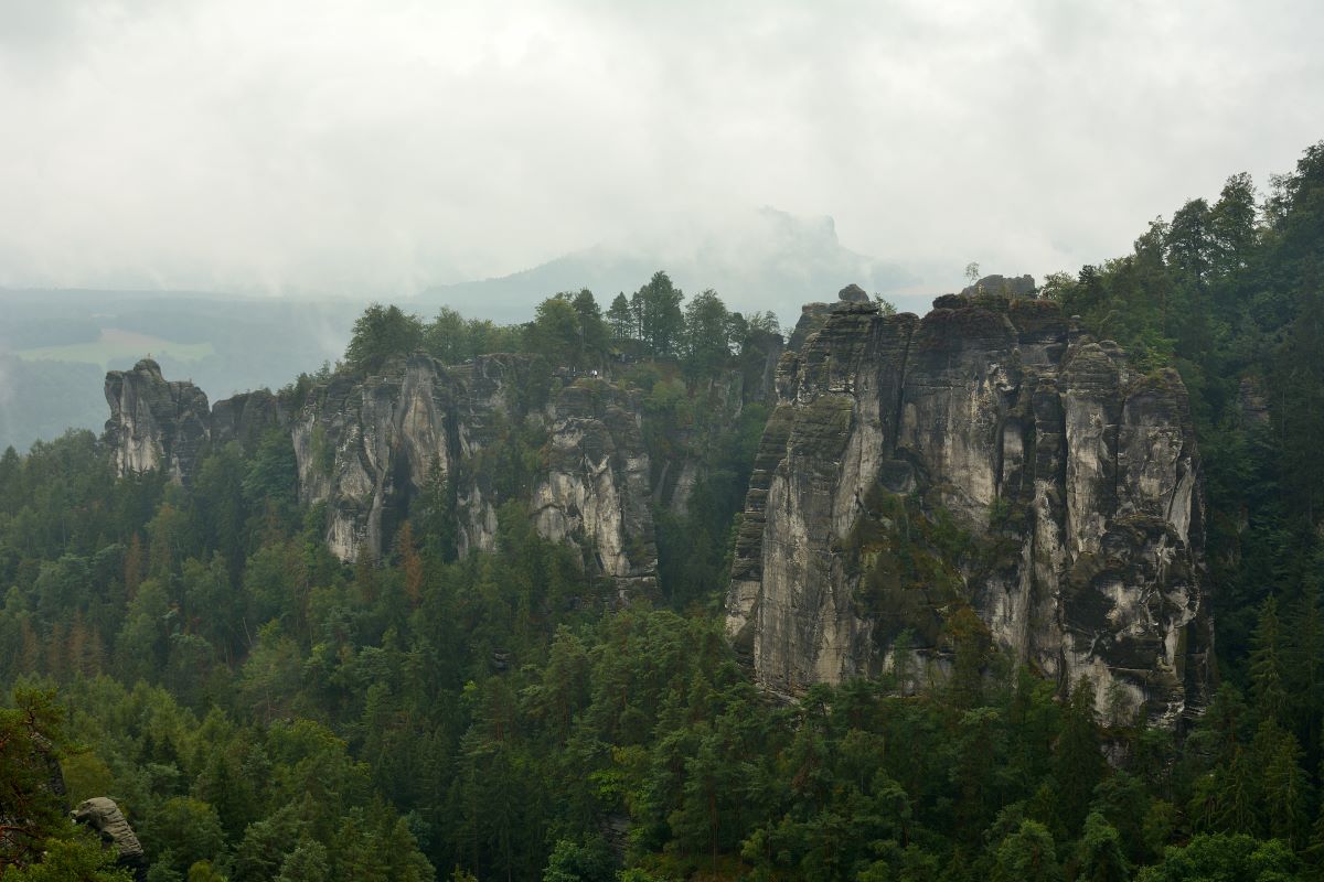 DSC_0270_00001_03n80.jpg