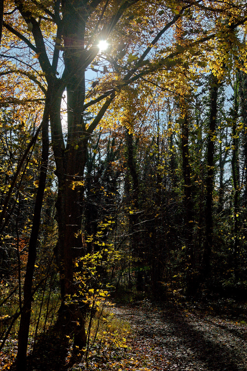 DSC_0298_DxO2.jpg