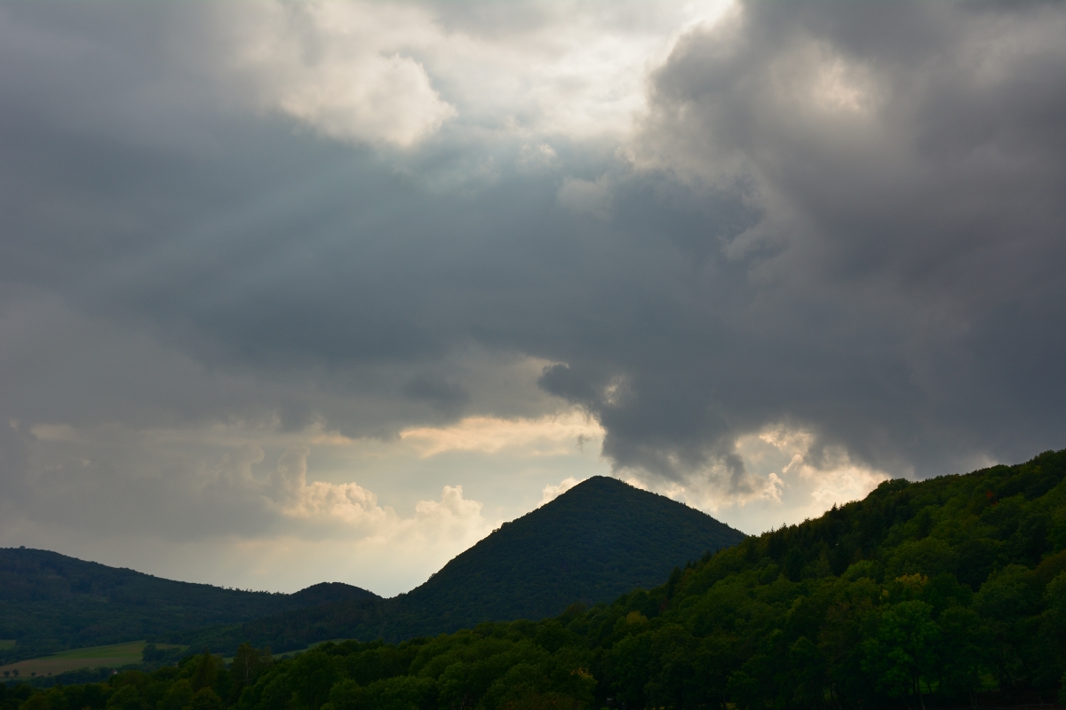 DSC_0309_00001n.jpg