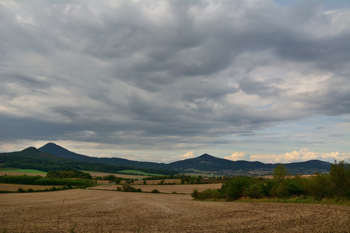 DSC_0311_00001n.jpg