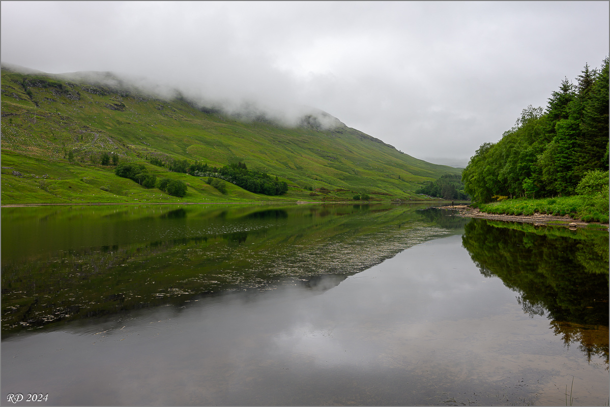 DSC_0322.jpg