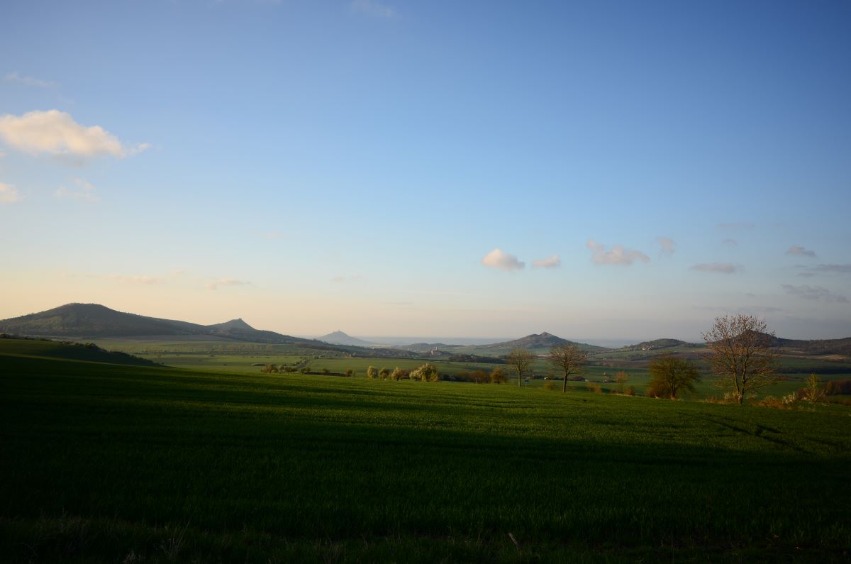 DSC_0333n.JPG