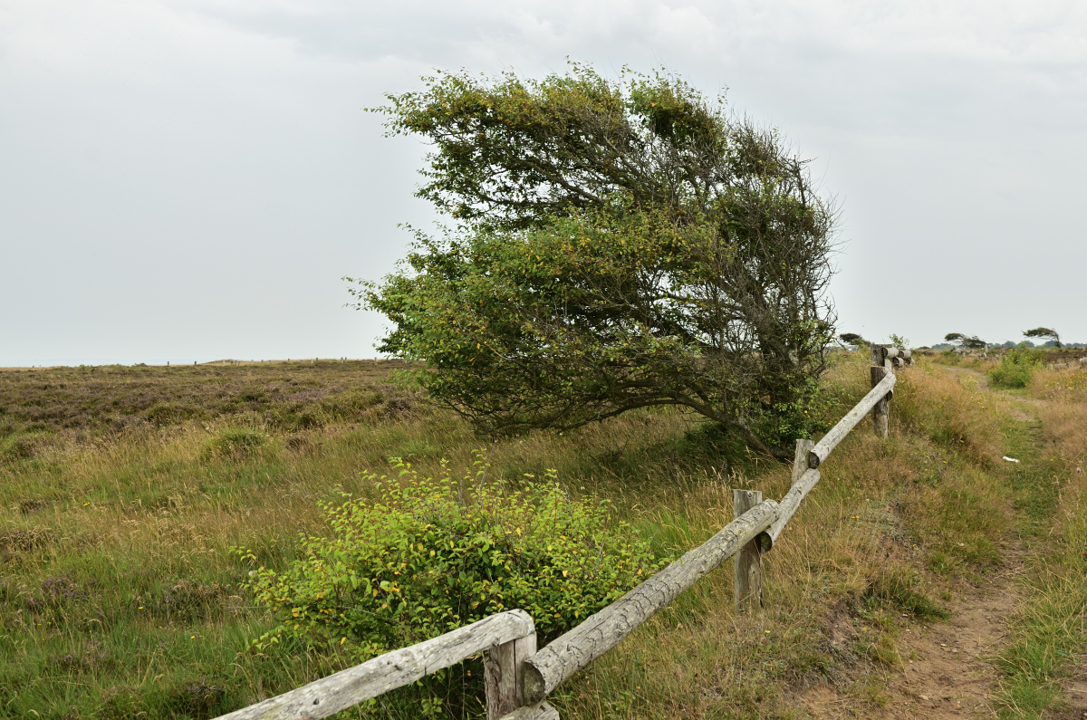 DSC_0336.JPG