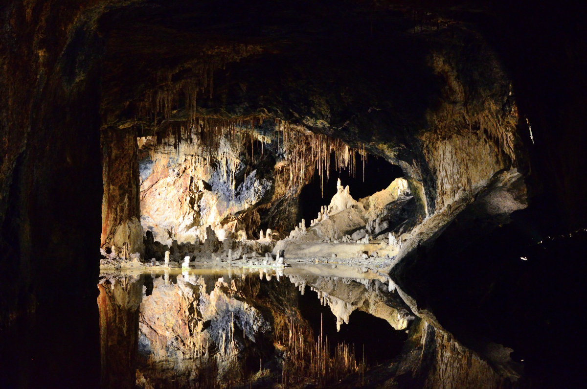 DSC_0341.JPG