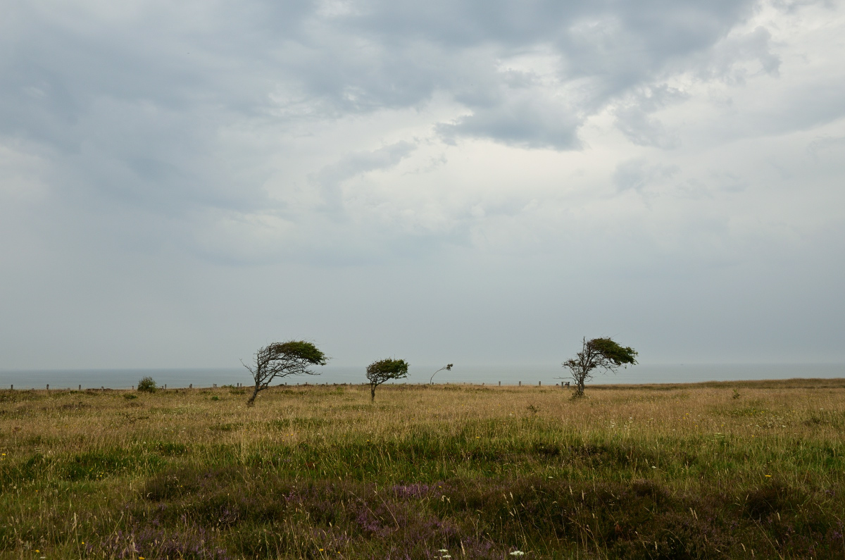 DSC_0344.JPG