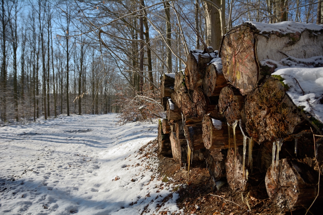 DSC_0345_00001n.jpg